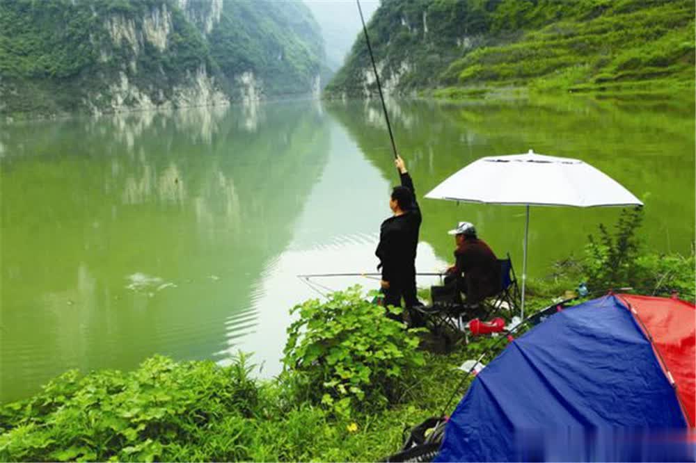 觅食范围变, div, 跟食物不相