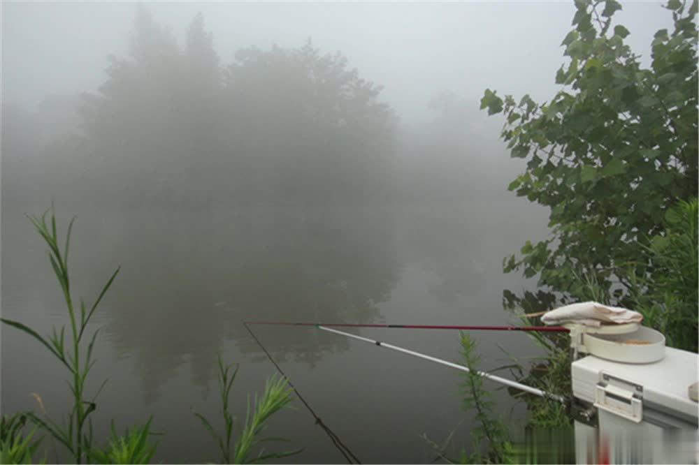 大鱼进入浅, 晴天难免风