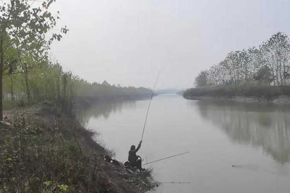 tenan, 跟食物不相, 宜阴天不宜