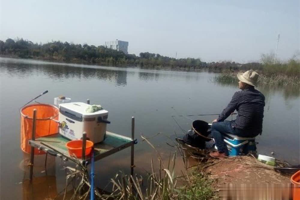 第三是光照, 致可以总结, 立冬了